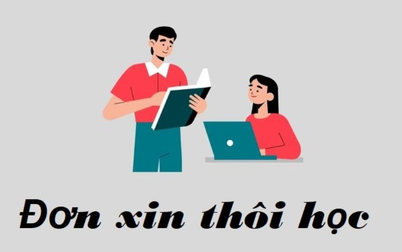 Các Bước Sau Khi Nộp Đơn Xin Thôi Học chi tiết 