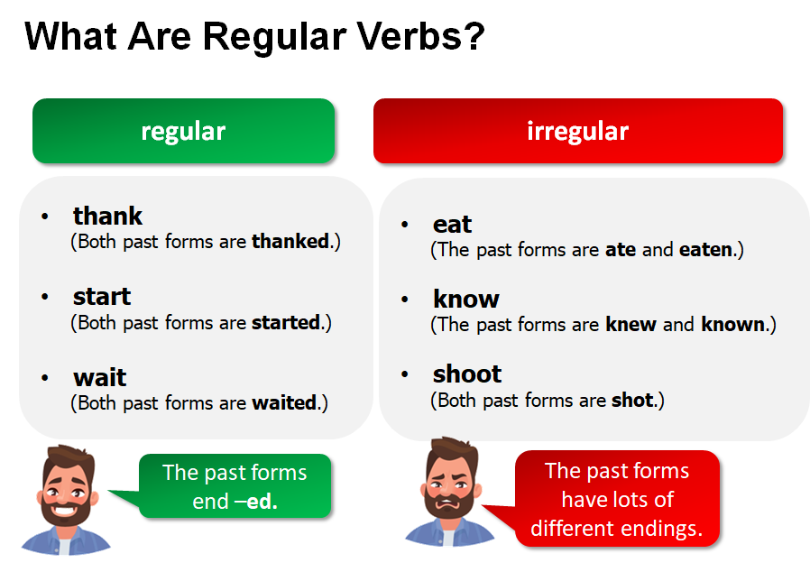 Cách sử dụng regular verb hiệu quả