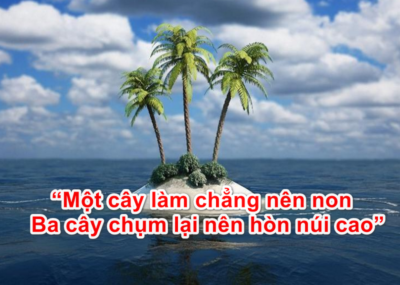 Thành ngữ "Một cây làm chẳng nên non, ba cây chụm lại nên hòn núi cao" 