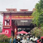 482064355 956795069935986 8877735280090552883 N