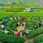 487128254 1110490467766219 8680256762941153643 N