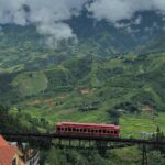 527116302 776397758077439 1014792035670583486 N