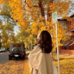 573511046 1233554888806715 8790721654552421240 N