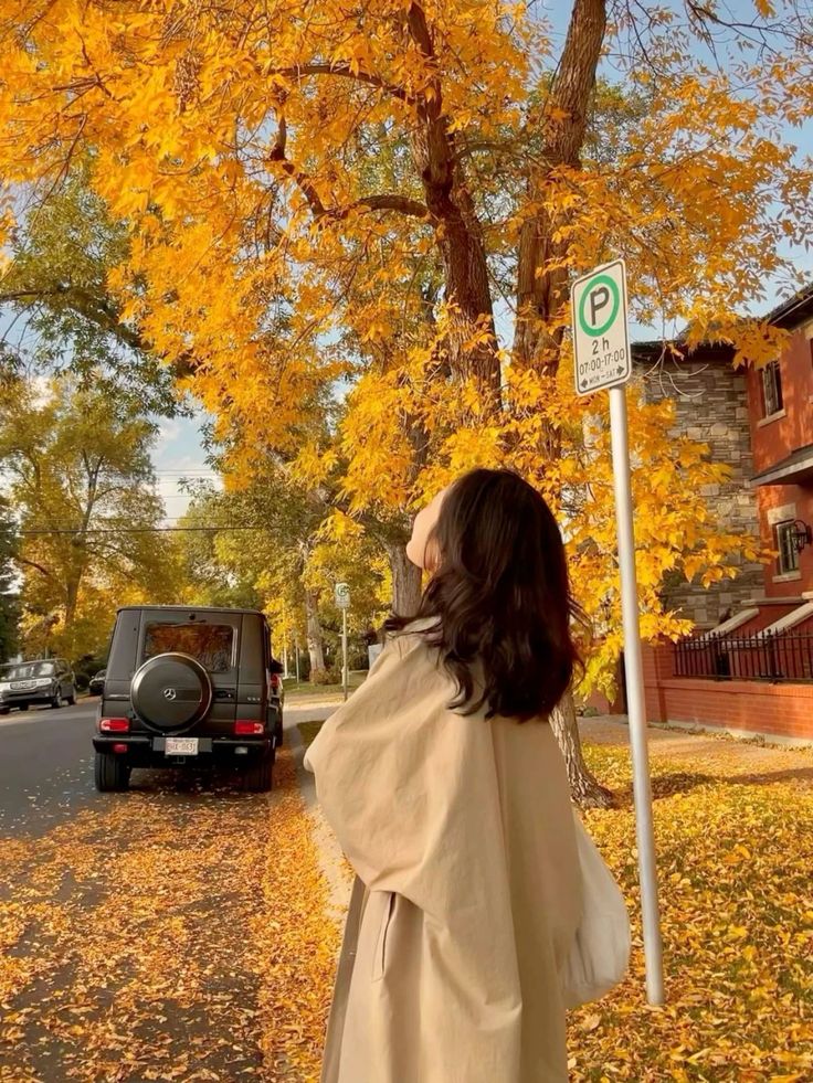 573511046 1233554888806715 8790721654552421240 N