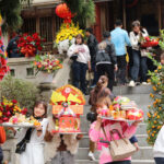 481997700 956797229935770 2264823371097894786 N